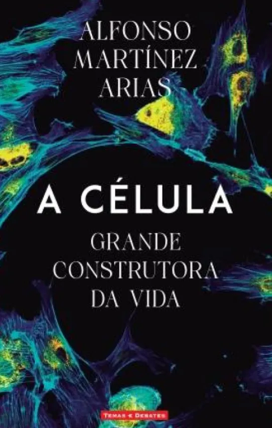 A Célula - Grande Construtora da Vida