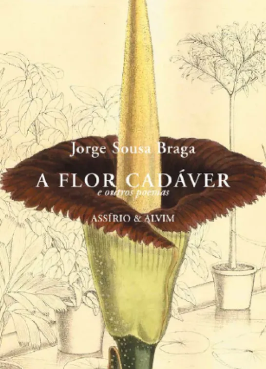A Flor Cadáver - e Outros Poemas