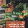 Africana Studia nº 38 - 2º Semestre 2022: África e os ODS: Objetivos com Futuro?
