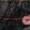 Aldebaran Caída por Terra