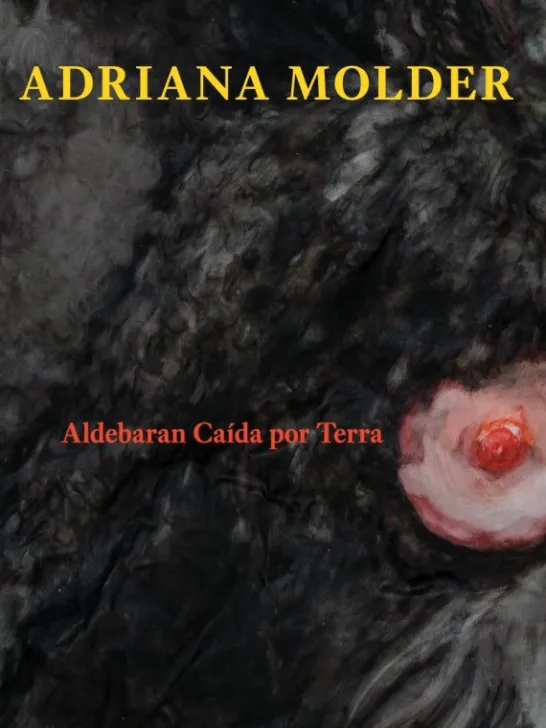Aldebaran Caída por Terra