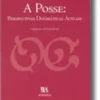 A Posse: Perspectivas Dogmáticas Actuais