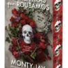 As Mentiras que Roubamos - Hollow Boys - Livro 1 - Edição Especial