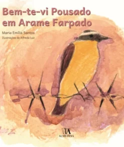 Bem-te-vi Pousado em Arame Farpado