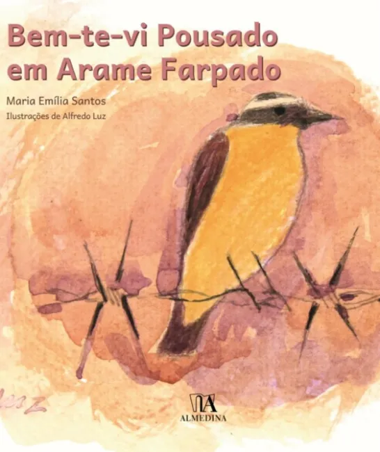 Bem-te-vi Pousado em Arame Farpado