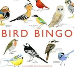 Bird Bingo