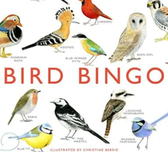 Bird Bingo