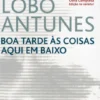 Boa Tarde às Coisas Aqui em Baixo