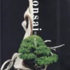 Bonsai