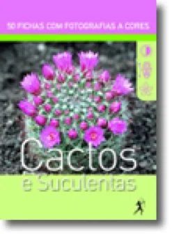 Cactos e Suculentas