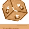 Cálculo Financeiro - Exercícios Resolvidos e Explicados - Vol. II