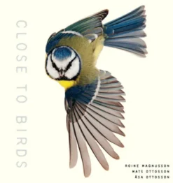 Close to Birds