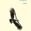 Condor