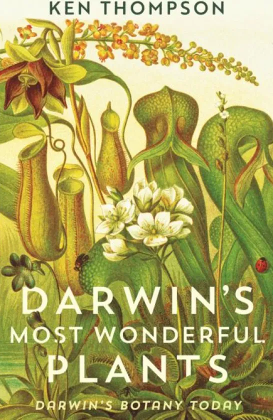 Darwin's Most Wonderful Plants: Darwin's Botany Today