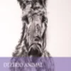 Delírio Animal