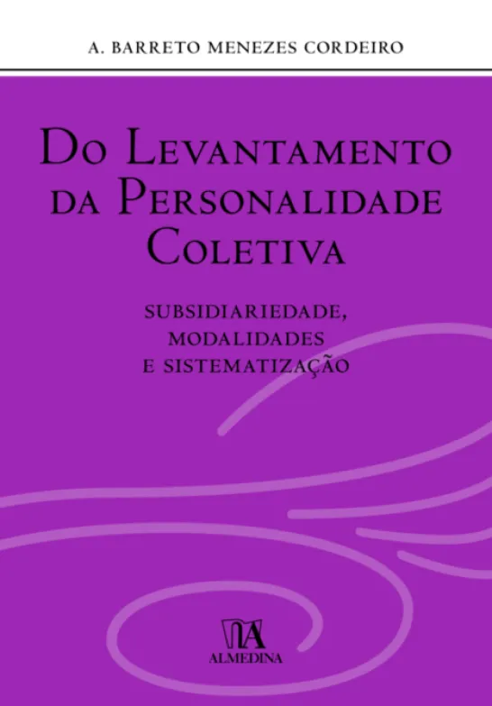 Do Levantamento da Personalidade Coletiva - Subsidiariedade, Modalidades e Sistematização