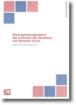 Dos Pressupostos da Colisão de Direitos no Direito Civil