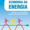 Economia da Energia - Desafios, Intervenção Pública e Gestão da Procura de Eletricidade