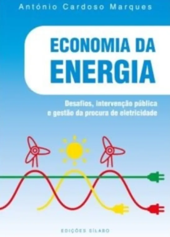 Economia da Energia - Desafios, Intervenção Pública e Gestão da Procura de Eletricidade