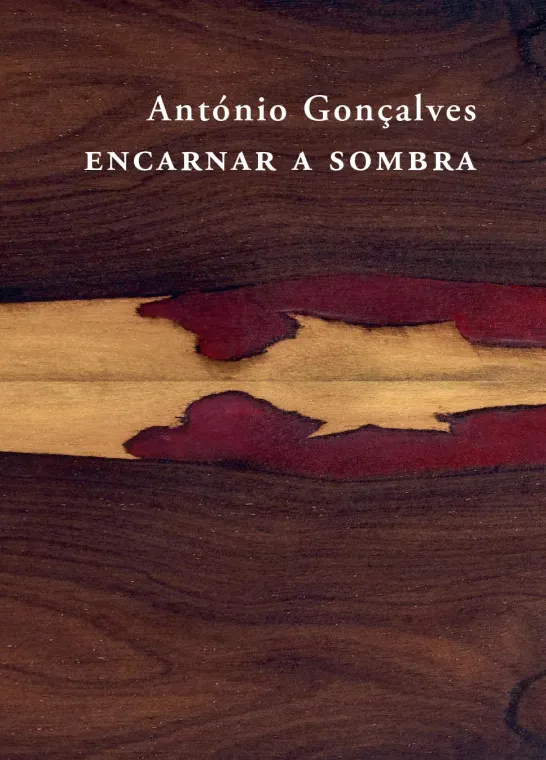 Encarnar a Sombra