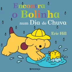 Encontra o Bolinha Num Dia de Chuva