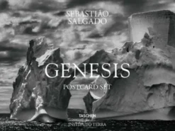 Genesis. Postcard Set