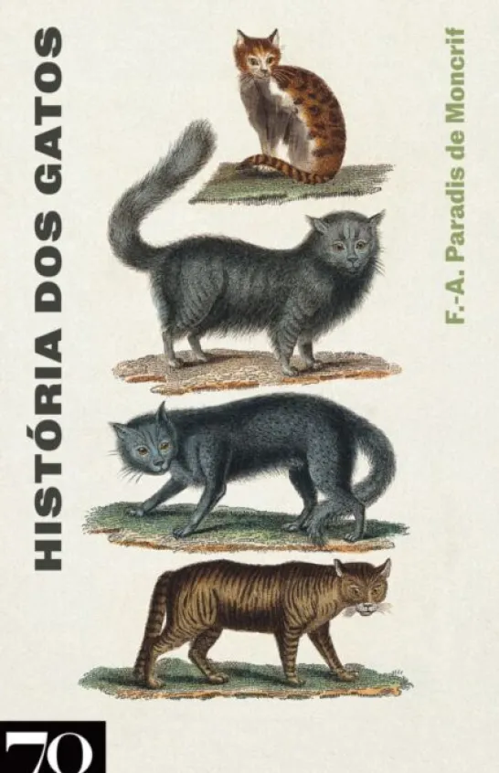 História dos Gatos