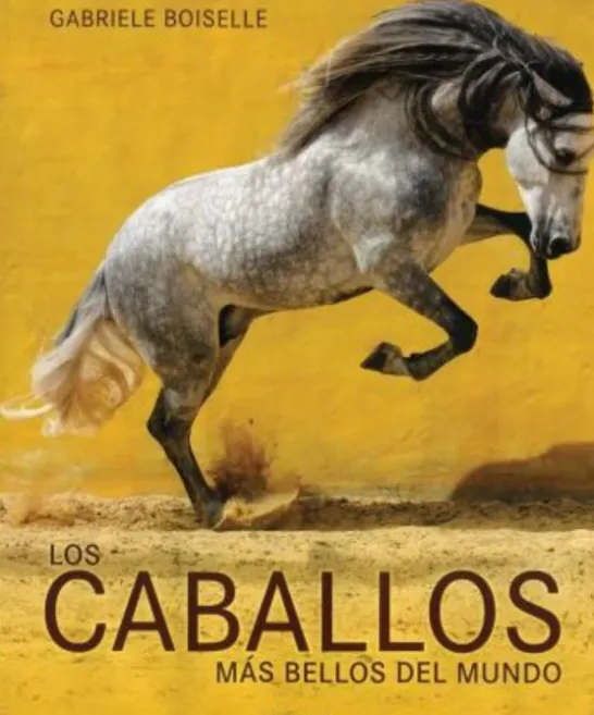 Horses of the World