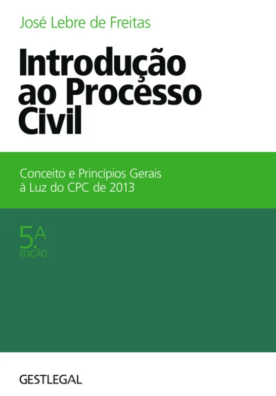 Introdução ao Processo Civil - Conceito e Princípios Gerais à Luz do CPC de 2013