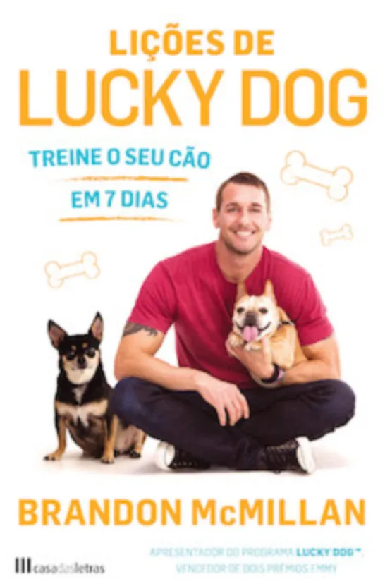 Lições de Lucky Dog