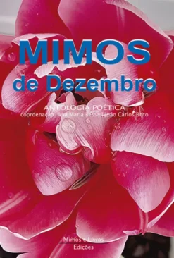 Mimos de Dezembro