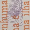 Nenhuma Ilha é Uma Ilha - Quatro Olhares sobre a Literatura Inglesa