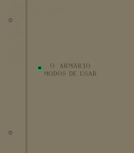 O Armário - 40 Modos de Usar