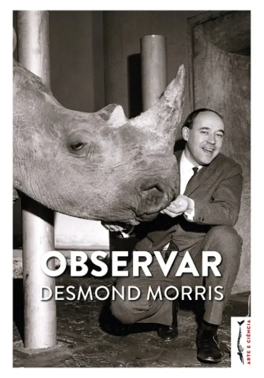 Observar