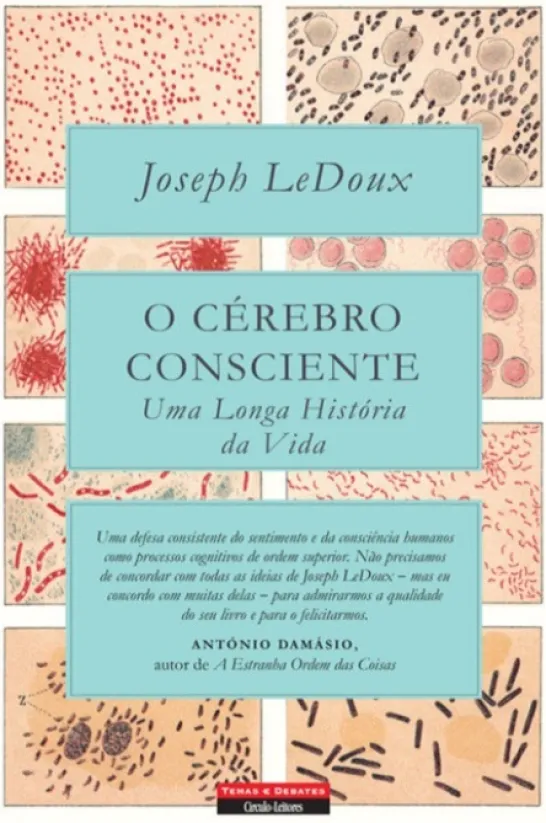 O Cérebro Consciente