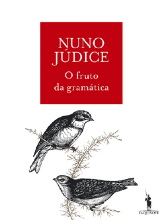 O Fruto da Gramática