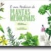 O Meu Herbário de Plantas Medicinais