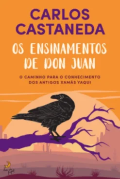 Os Ensinamentos de Don Juan