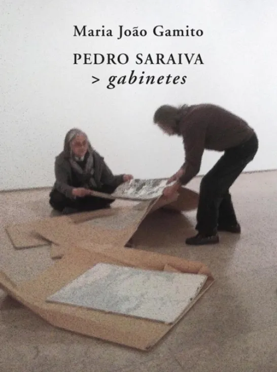 Pedro Saraiva> gabinetes