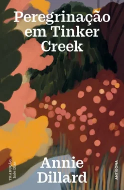 Peregrinação em Tinker Creek