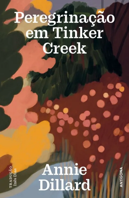 Peregrinação em Tinker Creek