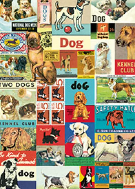 Poster Cavallini 50x70cm Vintage Dogs