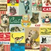 Poster Cavallini 50x70cm Vintage Cats