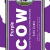 Purple Cow