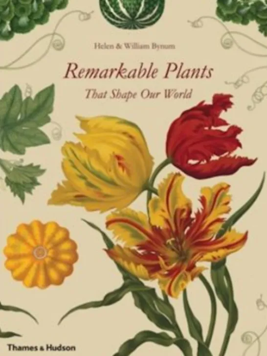 Remarkable Plants That Shape Our World