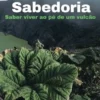 Sabedoria