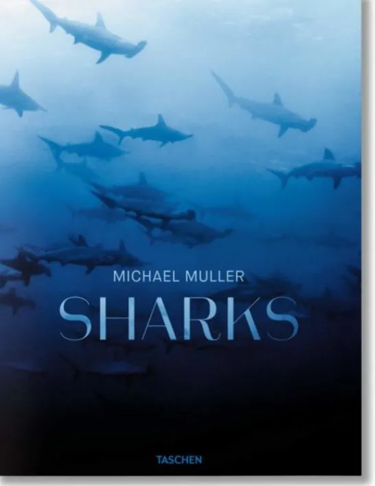 Sharks