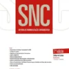 SNC - Sistema de Normalização Contabilística