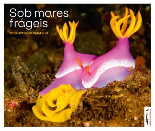 Sob Mares Frágeis