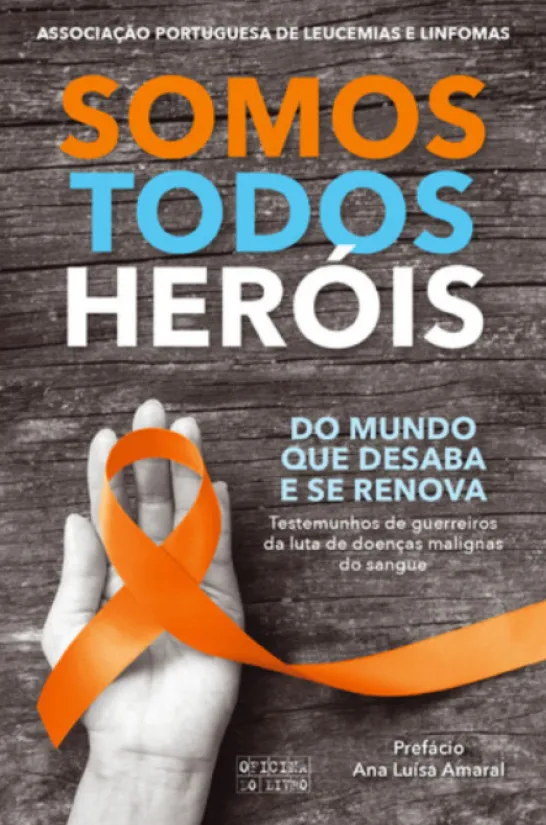 Somos Todos Heróis